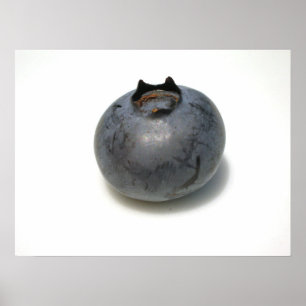 Pôster Mirtilos eu conheci 13