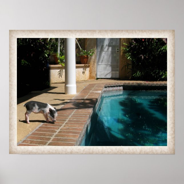 Pôster Miss Piggy no Paraíso (Frente)