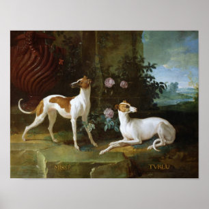 Pôster Misse e Turlu, dois galgos de Louis XV
