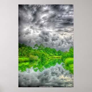 Pôster Mississippi Bayou