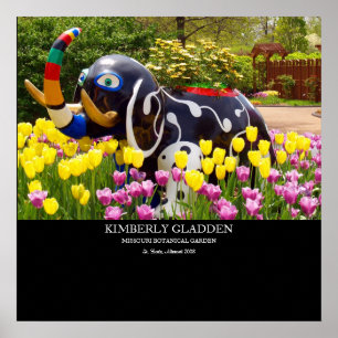 PÔSTER MISSOURI BOTANICAL GARDEN