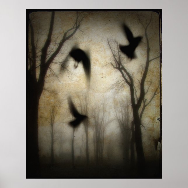 Poster Mist (Frente)