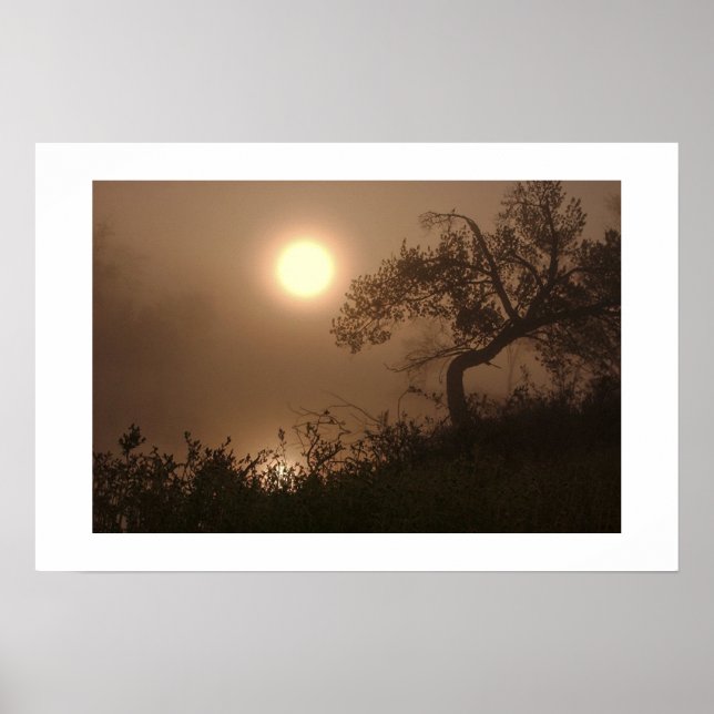 Pôster Mist Rise (Frente)