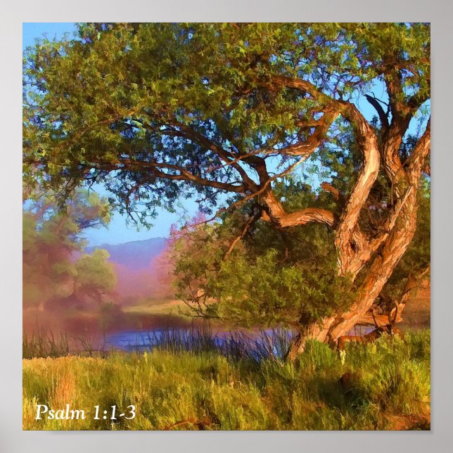 POSTER MISTA DA MANHÃ NO SHASTA 2 (Frente)