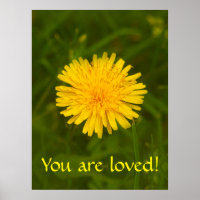 Mistério de Dandelion. Você é amado!