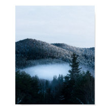 Misterioso nevoeiro encurralado na floresta de pân