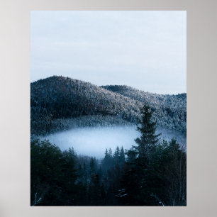 Poster Misterioso nevoeiro encurralado na floresta de pân