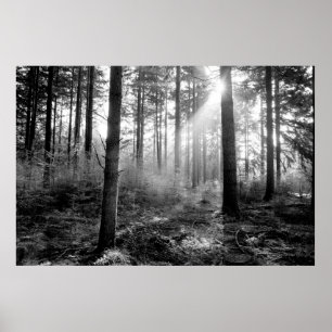 poster místico florestal