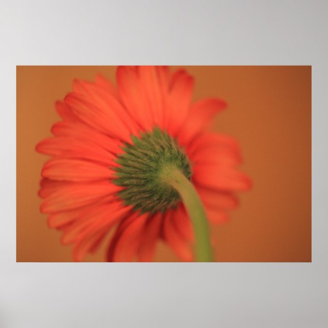 Pôster Mistura (Frente)