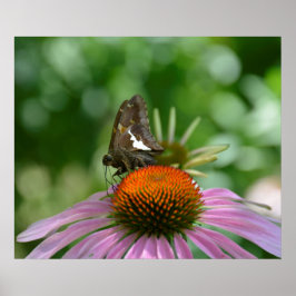 PÔSTER MISTURANDO COM O CARTAZ