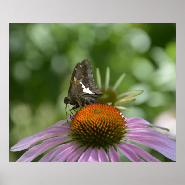 PÔSTER MISTURANDO COM O CARTAZ (Frente)
