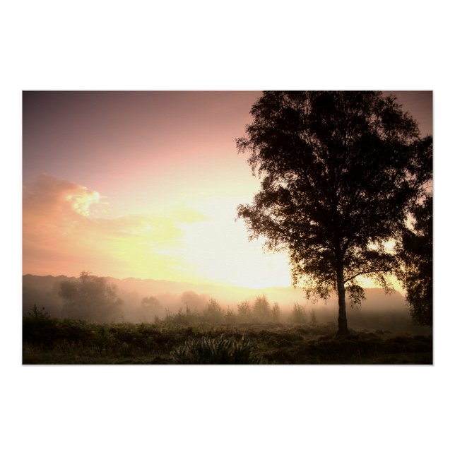 Pôster Misty Autumn Sunrise (4543) (Frente)