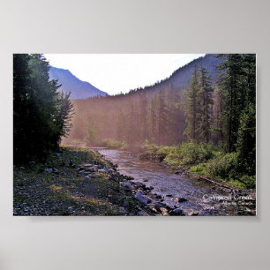 Poster Misty Creek Sunrise Glacier-Waterton Parks