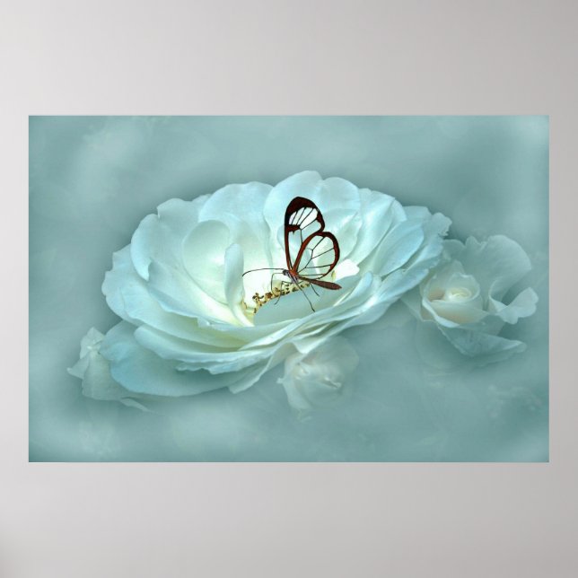 POSTER MISTY DREAMS (Frente)