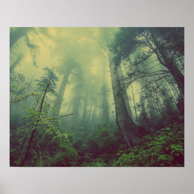 Poster Misty Forest (Frente)