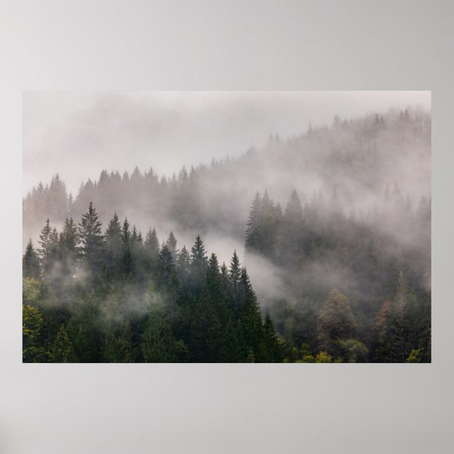 Poster Misty Forest in the Mountains (Frente)
