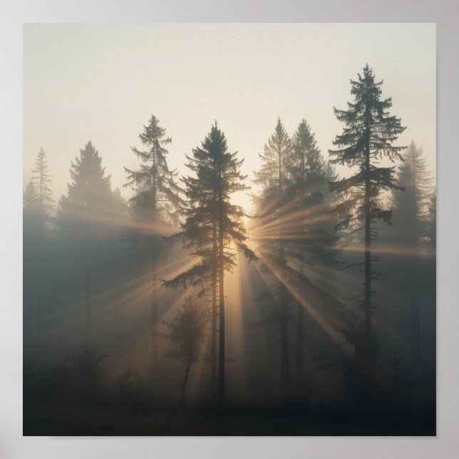 Poster Misty Forest Morning Landscape (Frente)