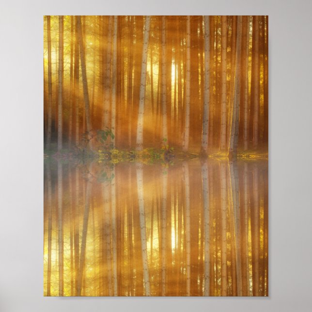 Poster Misty Forest Scene (Frente)