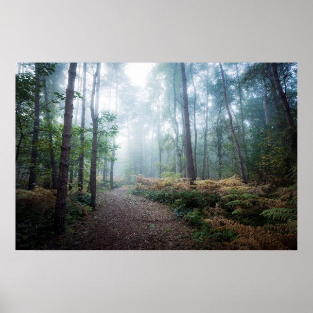Poster Misty Forest Walk (Frente)