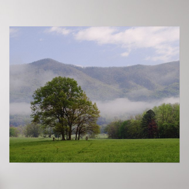 Pôster Misty Meadow e Rich Mountain, Cades Cove, (Frente)