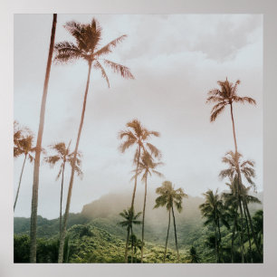 Poster Misty Morning Palms em Oahu, Havaí