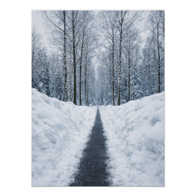 Pôster Misty Winter Forest Path Winter Landscape Poster (Frente)