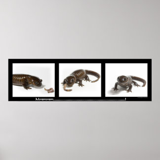 Pôster Mmmmmmmmmm...........................!