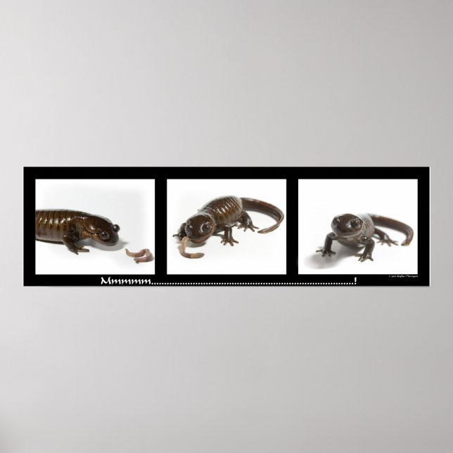 Pôster Mmmmmmmmmm...........................! (Frente)