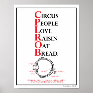 Pôster Mnemônica: Pessoas do amor do circo = trajeto