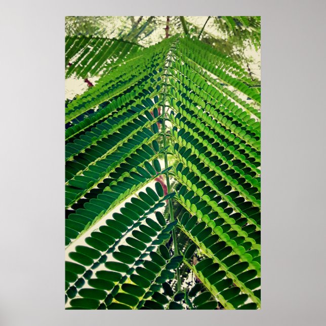 Poster mni folha (Frente)