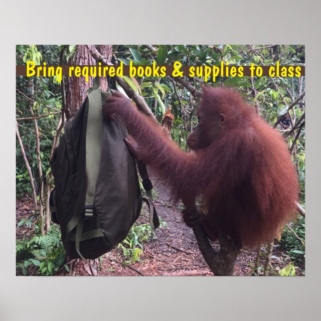 Poster Mochila para Estudantes de Sala de Aula Bonita (Frente)