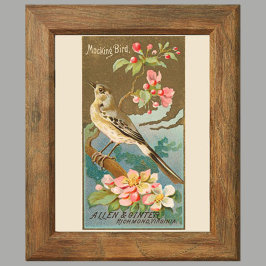 Poster Mockingbird, Conjunto de 8 (5 de 8) Parede de Gale