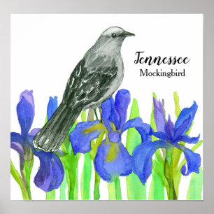 Poster Mockingbird State Bird no Tennessee