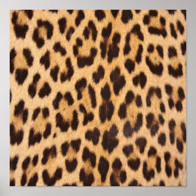 Poster moda feminina selvagem safari estampa de leopardo (Frente)