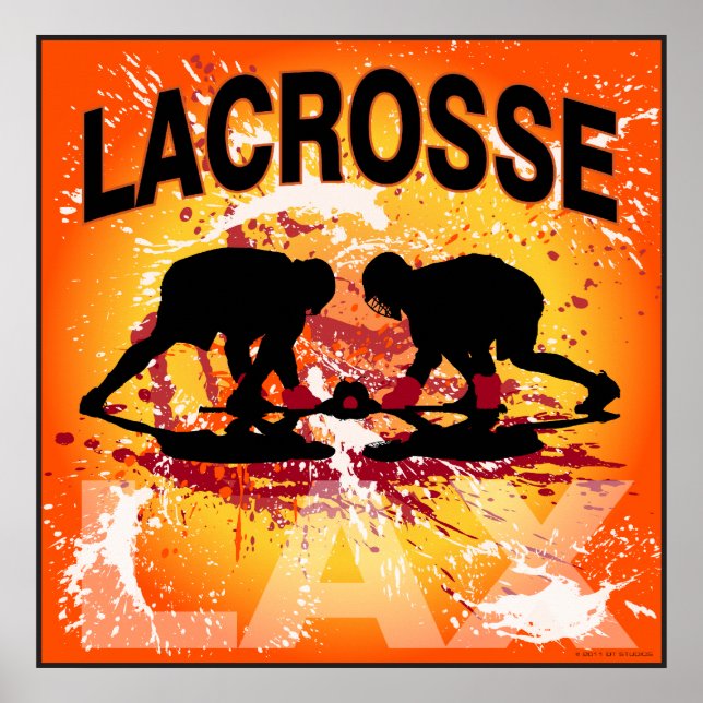 Pôster Modelo 2011 (Frente)