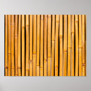 Poster Modelo de bambu havaiano tropical do fundo