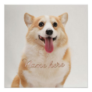 Pôster Modelo de foto de nome de animal de estimação simp