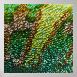 Pôster Modelo de Textura da Pele de Chameleon