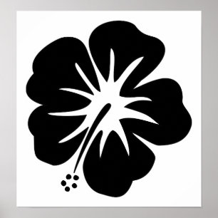 Poster Modelo do hibiscus