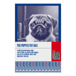 Pôster Modelos de folhetos de venda de filhotes de Pug
