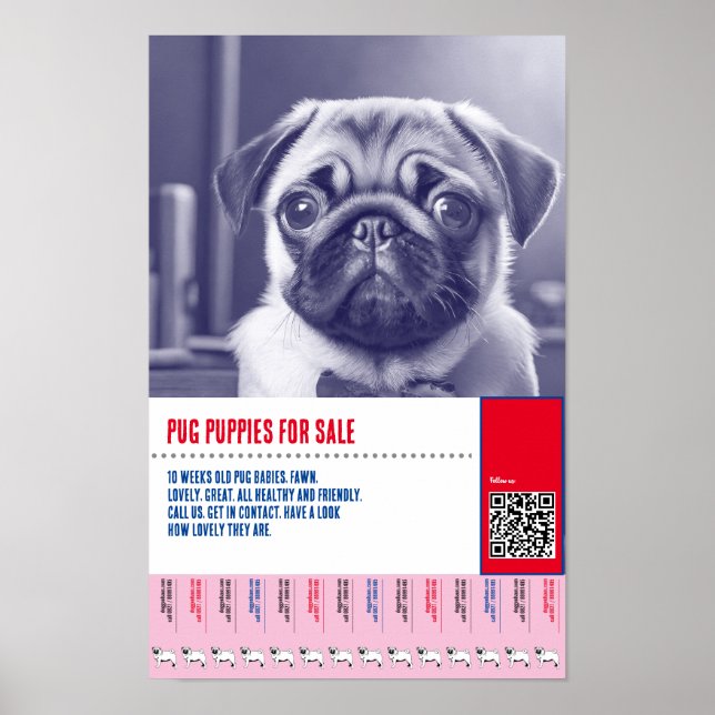 Poster Modelos de folhetos de venda de filhotes de Pug (Frente)