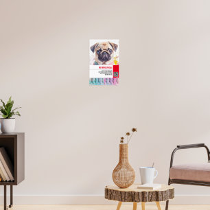 Poster Modelos de folhetos para venda de filhotes Pug