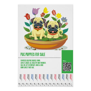 Pôster Modelos de folhetos para venda de filhotes Pug