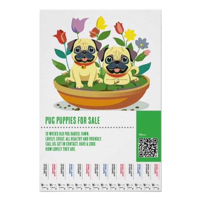 Pôster Modelos de folhetos para venda de filhotes Pug (Frente)