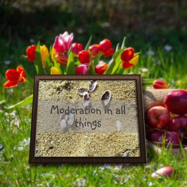 Poster Moderação em todas as coisas sabedoria dizendo pos (Criador carregado)