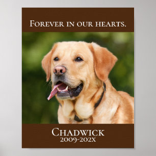 Poster Modern Brown Add Photo Pet Memorial