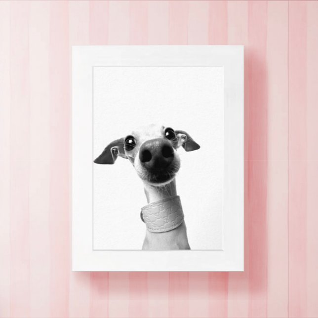 Poster Modern Custom Pet Photo | Meeko (Criador carregado)