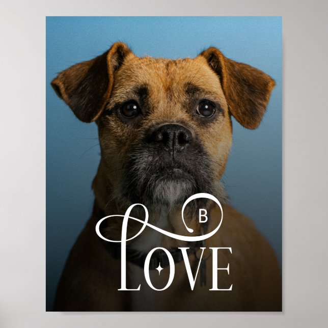 Poster Modern Love Custom Boxer Dog Pets Photo Monogram (Frente)