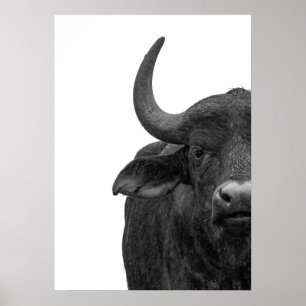 Poster Moderno Negro de Buffalo