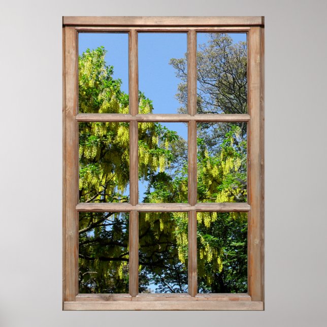 Pôster Modo de Exibição de Árvore de Laburno de Flor de u (Frente)